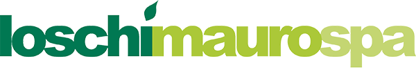 Loschi Mauro S.p.A. Logo